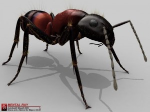 ant 3D Model