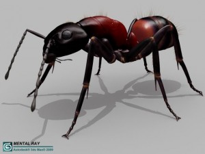 ant 3D Model