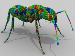 ant 3D Model