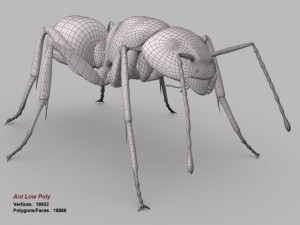 ant 3D Model