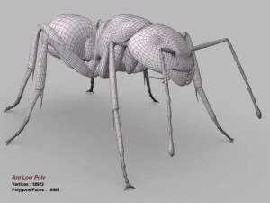 ant 3D Model