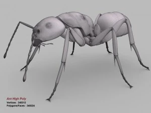 ant 3D Model
