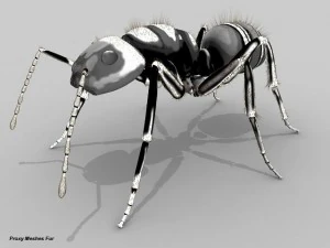ant 3D Model