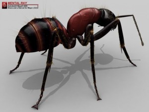 ant 3D Model