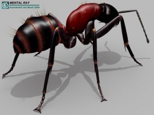 ant 3D Model