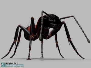 ant 3D Model
