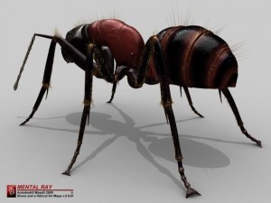 ant 3D Model