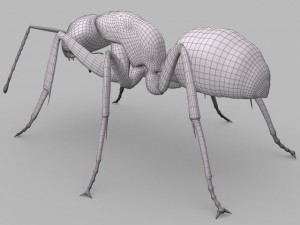 ant 3D Model