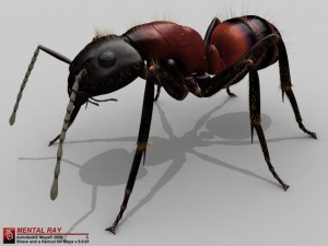 ant 3D Model