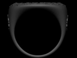 ring 3D Print Model