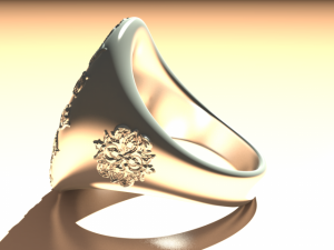 ring Modello di stampa 3D