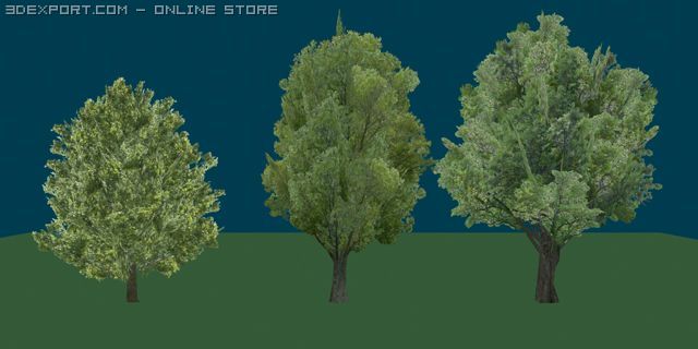 zolletrees01 Modèle 3D .c4d .max .obj .3ds .fbx .stl .blend 
