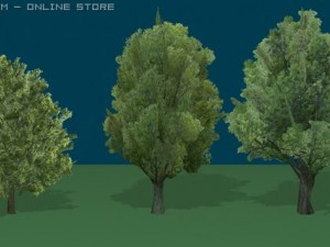 zolletrees01 Modèle 3D
