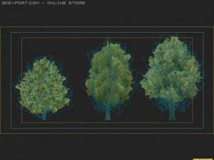 zolletrees01 Modèle 3D