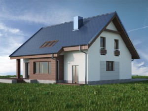 house 08c2 Model 3D