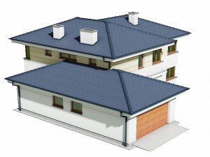 house c3v5 3D 모델