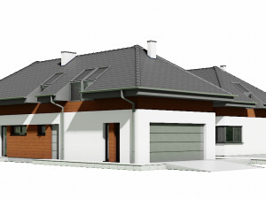 house c3v14 3Dモデル