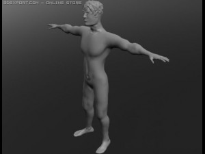 human 3D Модель