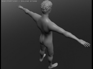 human 3D Модель