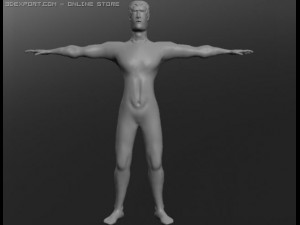 human 3D Модель