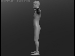 human 3D Модель