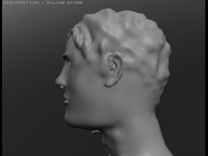 human 3D Модель