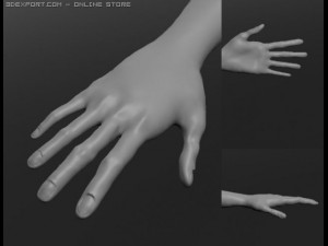 human 3D Модель