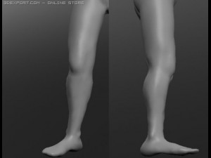 human 3D Модель