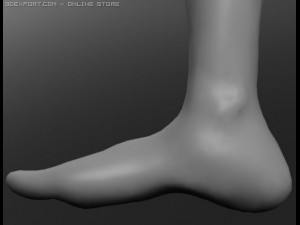 human 3D Модель