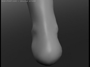 human 3D Модель