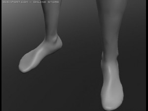 human 3D Модель