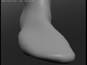 human 3D Модель