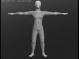 human 3D Модель