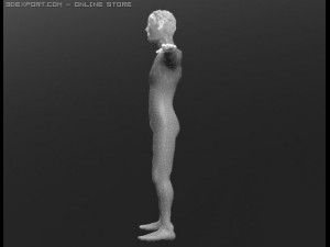 human 3D Модель