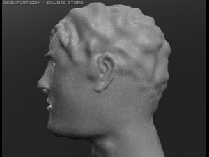 human 3D Модель