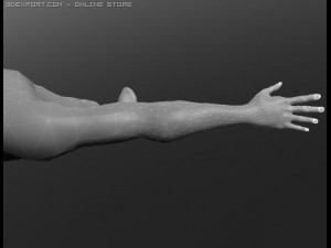 human 3D Модель