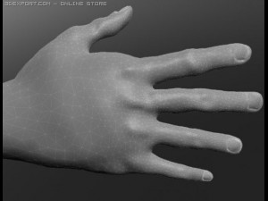 human 3D Модель