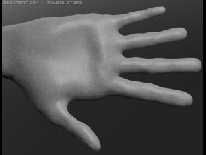 human 3D Модель