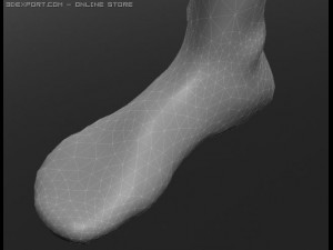 human 3D Модель