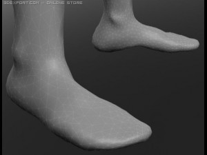 human 3D Модель