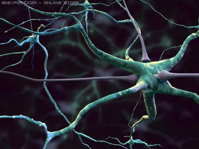 3d neurons 3D Model .c4d .max .obj .3ds .fbx .stl .blend 