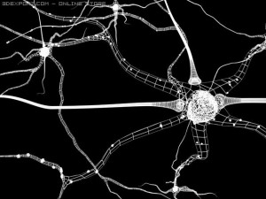 3d neurons Modelo 3D