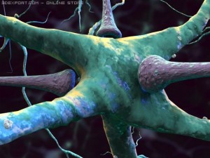 3d neurons Modelo 3D