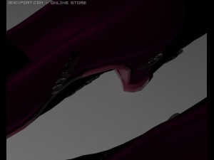 womens dark violetpurple shoes Model 3D