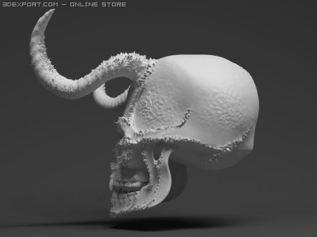 skull 3D Model .c4d .max .obj .3ds .fbx .stl .blend 
