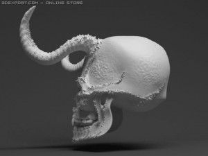 skull Modèle 3D