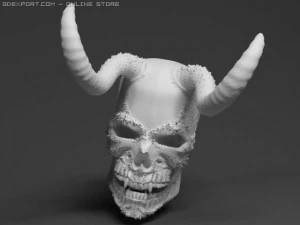 skull 3D Model