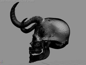 skull 3D Model