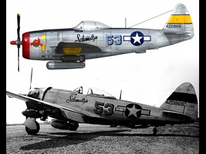 republic p-47d thunderbolt schmaltzie 3D Model
