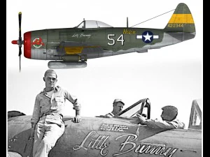 republic p-47d thunderbolt little bunny 3D Model